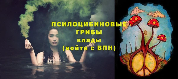 твердый Бугульма