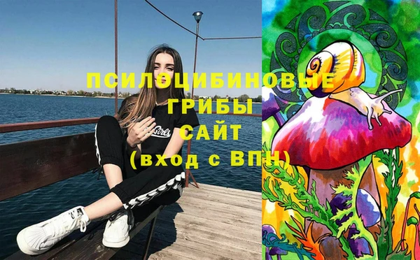 а пвп мука Бронницы