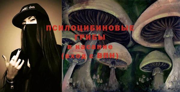 альфа пвп Бородино