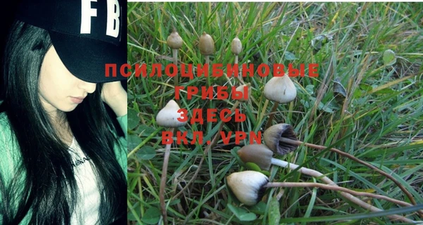 альфа пвп Бородино