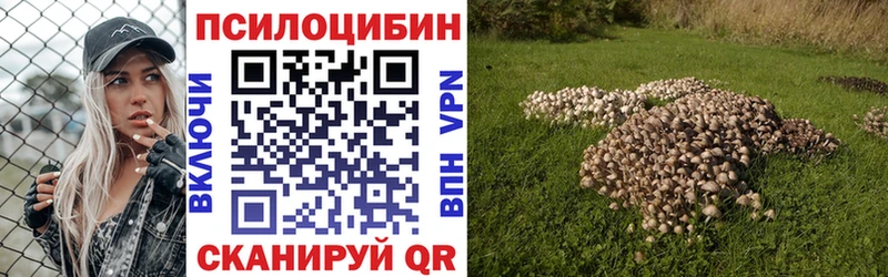 Псилоцибиновые грибы ЛСД  Купить  Кувандык 